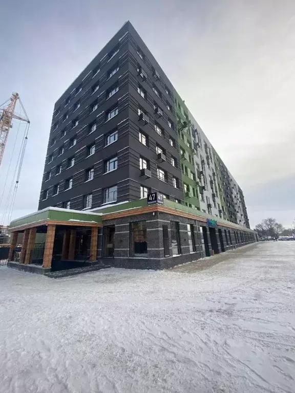 Торговая площадь в Новосибирская область, Новосибирский район, ... - Фото 1