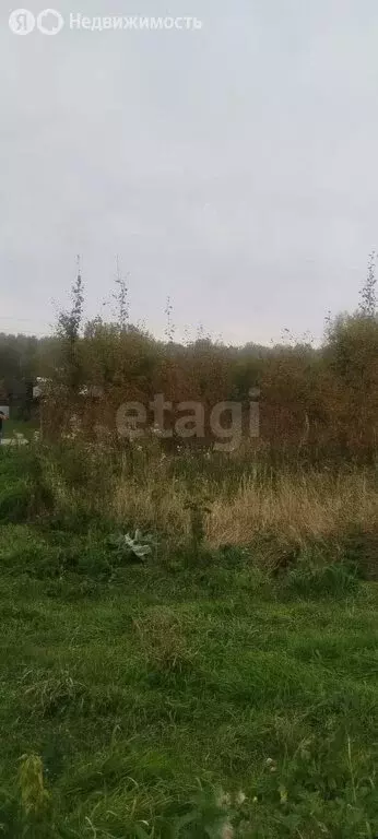 Участок в Искитимский район, Чернореченский сельсовет, садовое ... - Фото 1