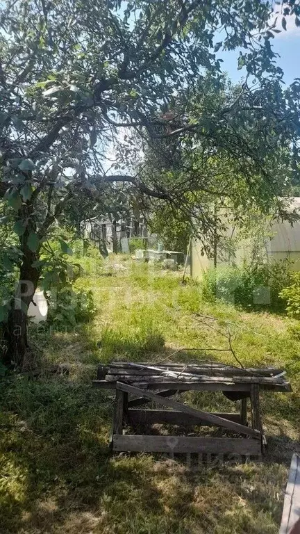 Участок в Нижегородская область, Нижний Новгород СНТ Маяк-Приокский ... - Фото 1