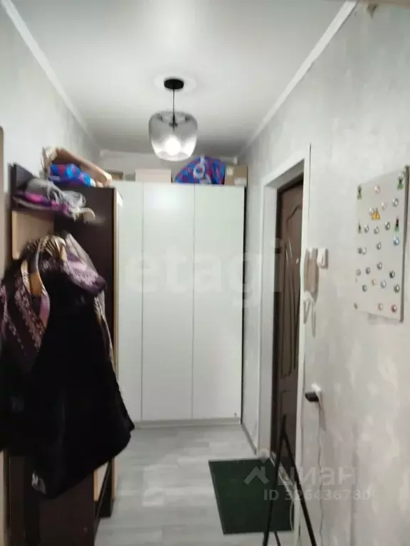 1-к кв. Брянская область, Брянск ул. Брянского Фронта, 28к2 (42.9 м) - Фото 2