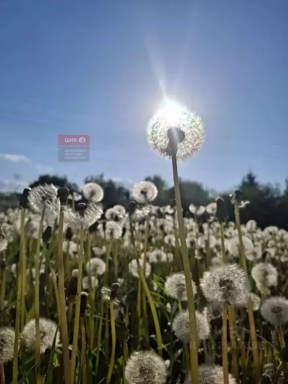 Дом в Рязанская область, Рязань Агрохимик СТ, 30 (30 м) - Фото 2