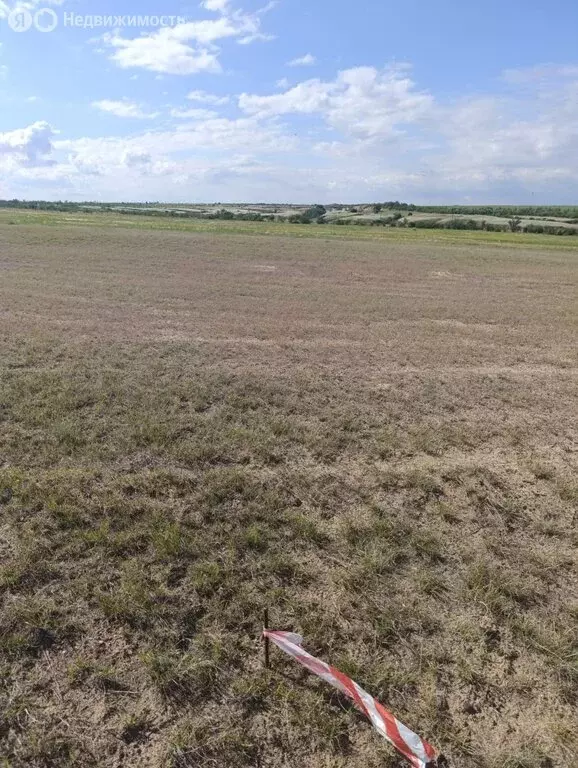 Участок в Орловка, Береговая улица (5 м) - Фото 0