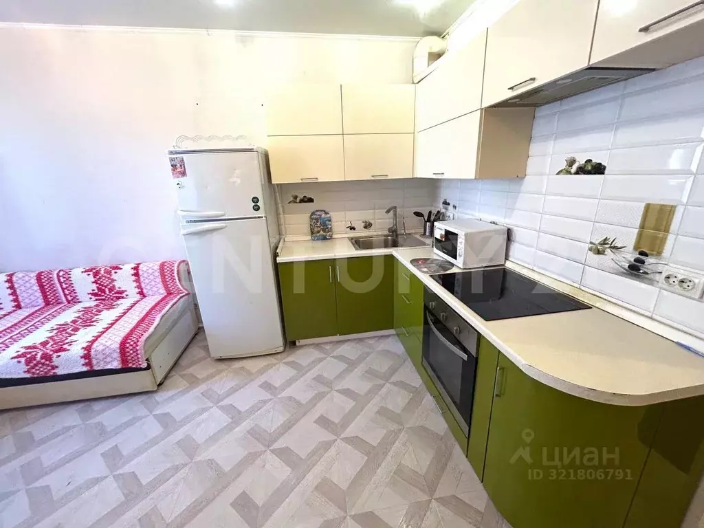 1-к кв. Калужская область, Совхоз Боровский с/пос, д. Кабицыно, ... - Фото 2