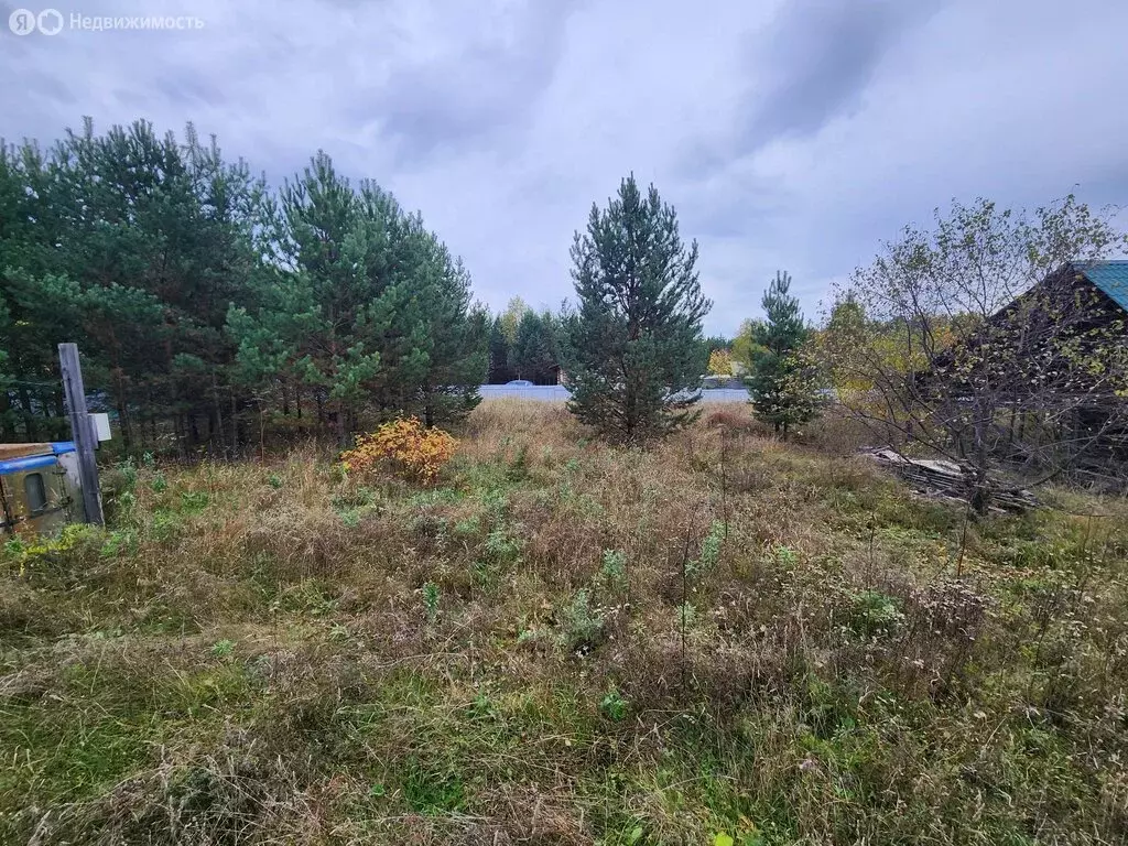 Участок в Нижние Таволги, улица Жукова, 29 (25 м) - Фото 2