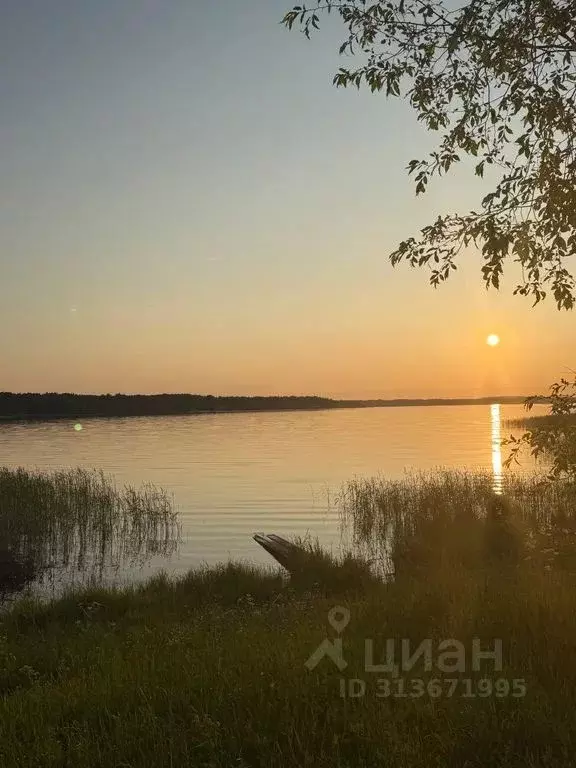 Дом в Вологодская область, Кирилловский муниципальный округ, д. ... - Фото 1