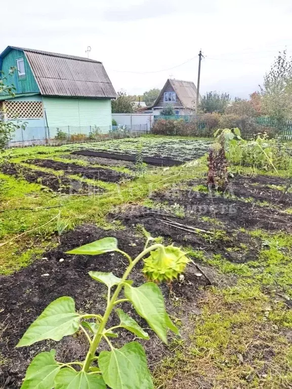 Дом в Кемеровская область, Кемеровский район, Маручак СНТ аллея 12-я ... - Фото 2