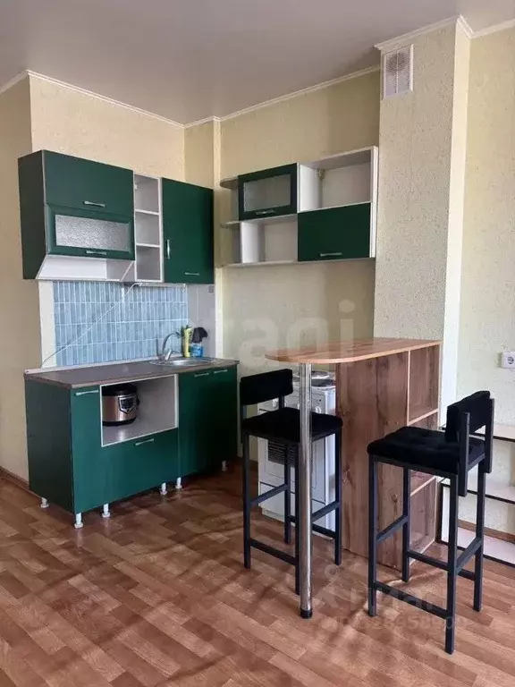 Студия Алтайский край, Бийск Социалистическая ул., 26 (28.2 м) - Фото 2