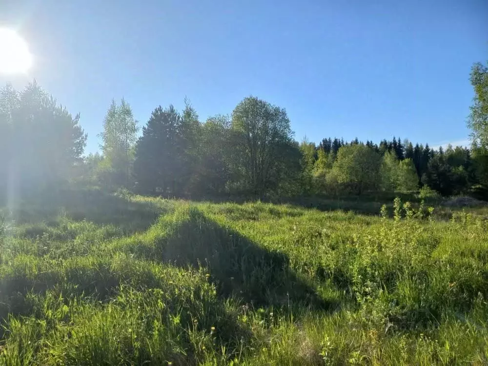 Участок в Псковская область, Печорский муниципальный округ, д. ... - Фото 1