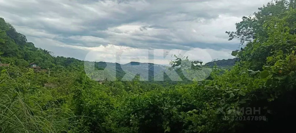 Участок в Краснодарский край, Сочи городской округ, с. Верхний Юрт, ... - Фото 1