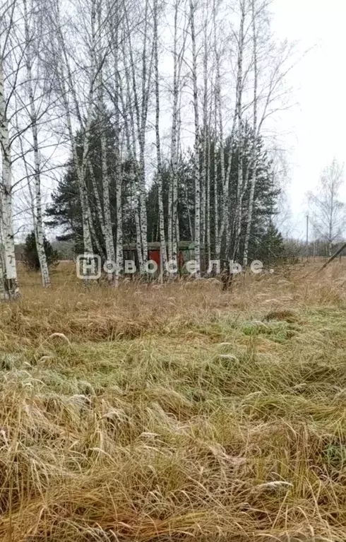Участок в Рязанская область, Клепиковский муниципальный округ, д. ... - Фото 1