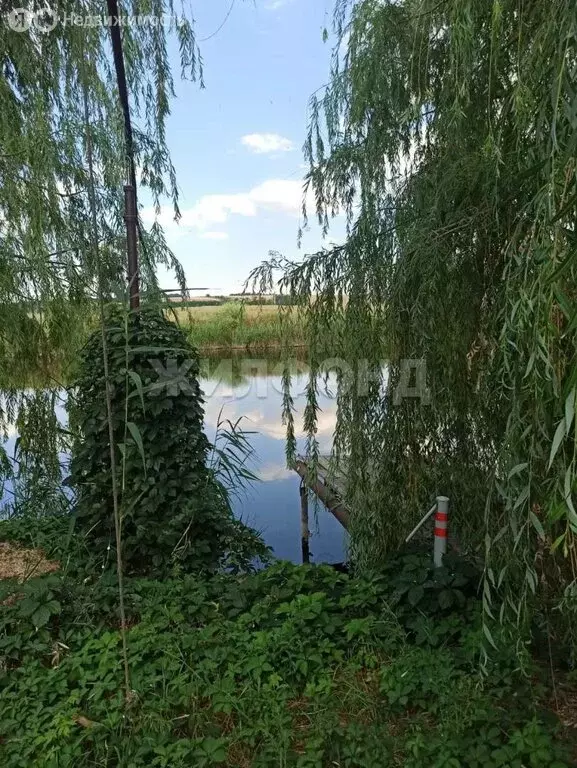 Дом в хутор Ягодинка, Центральная улица (90 м) - Фото 2