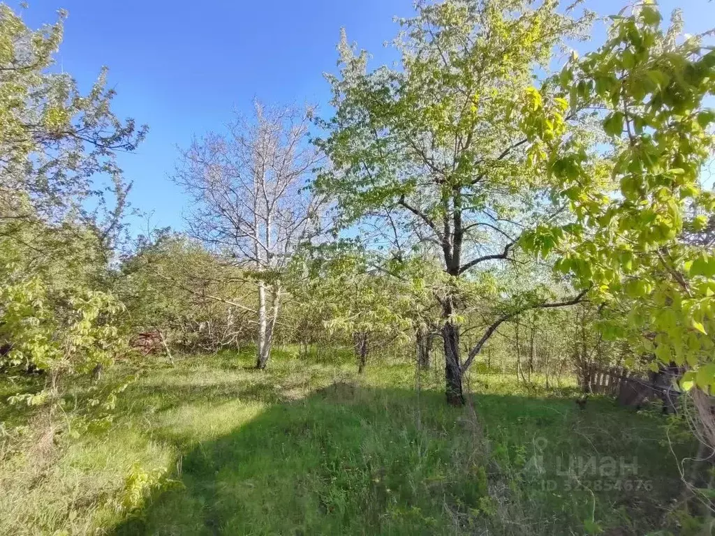 Участок в Крым, Симферопольский район, Добровское с/пос, Дружба СТ  ... - Фото 2