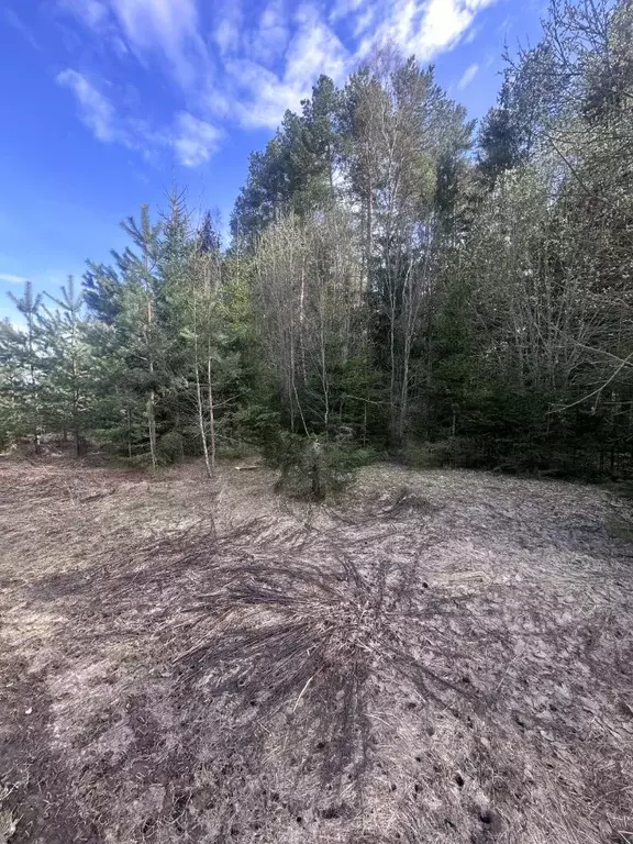 Участок в Московская область, Богородский городской округ, с. Стромынь ... - Фото 1