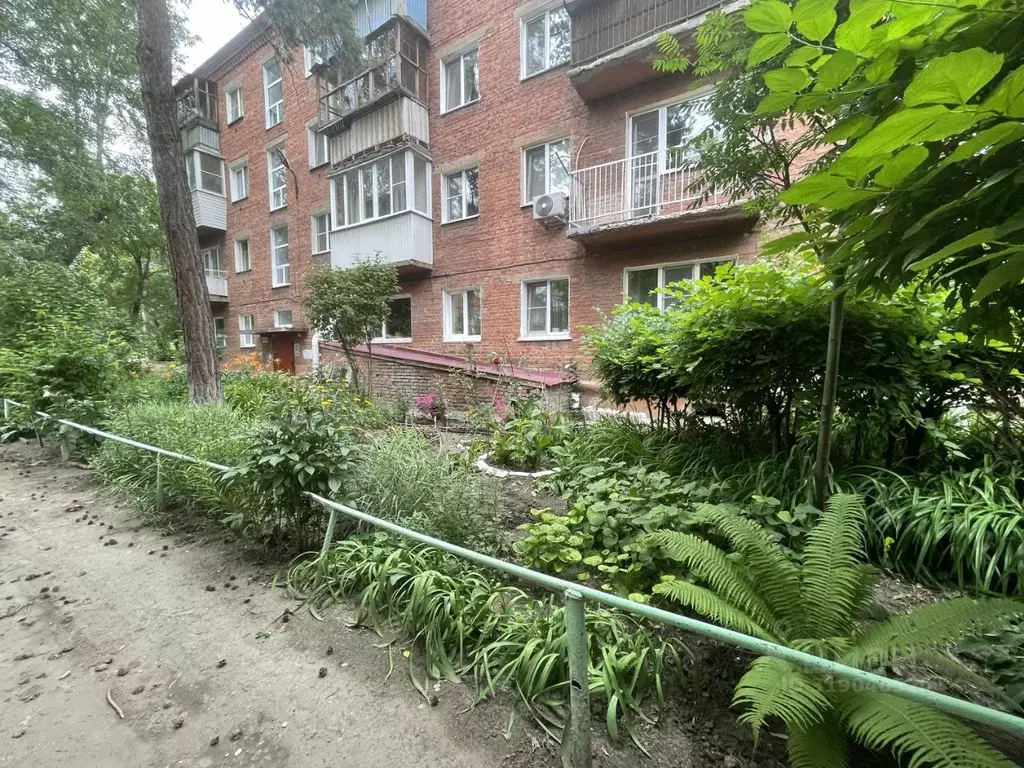 2-к кв. Омская область, Омск просп. Мира, 8б (42.4 м) - Фото 1