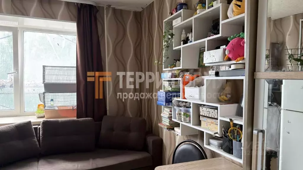 Студия Пермский край, Пермь ул. Пушкина, 110 (13.3 м) - Фото 1