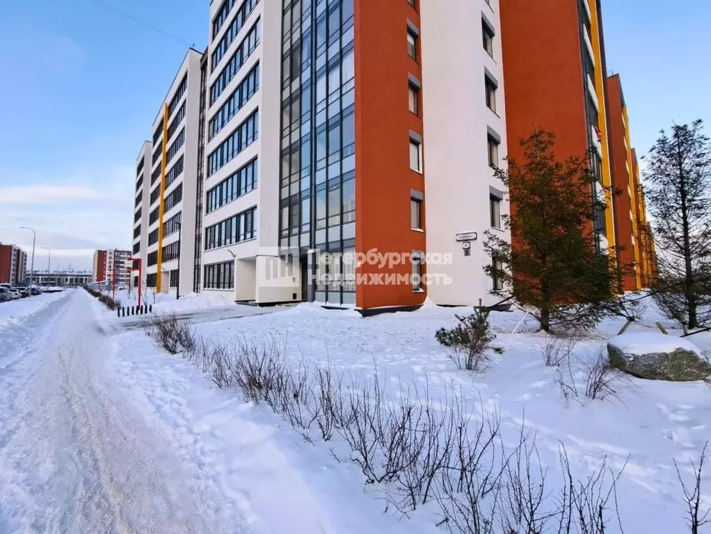 Студия Санкт-Петербург ул. Бориса Шмелева, 7 (25.0 м) - Фото 1