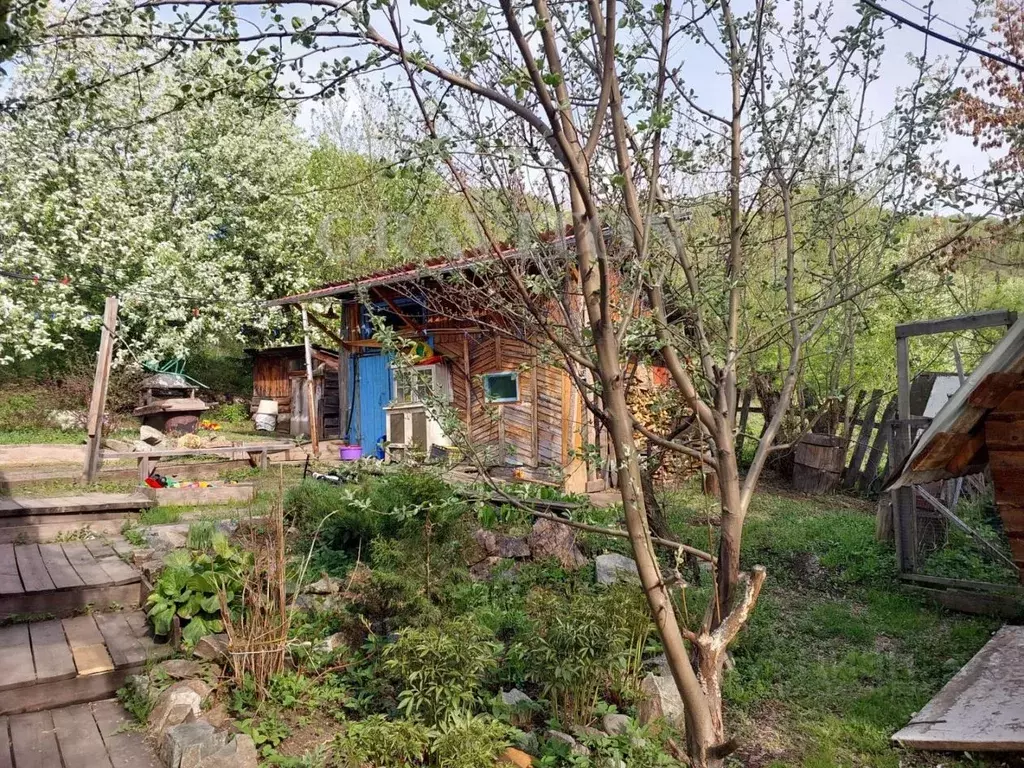 Дом в Алтай, Горно-Алтайск Барнаульский пер. (37 м) - Фото 0