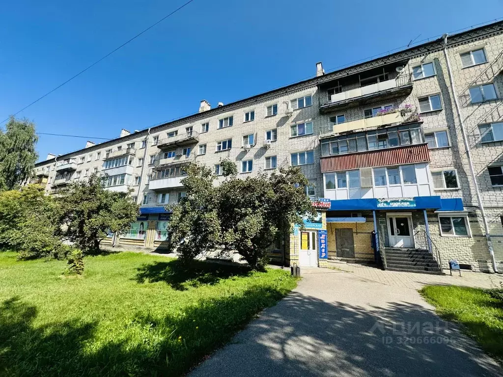 1-к кв. Нижегородская область, Бор ул. Ленина, 133 (29.0 м) - Фото 0