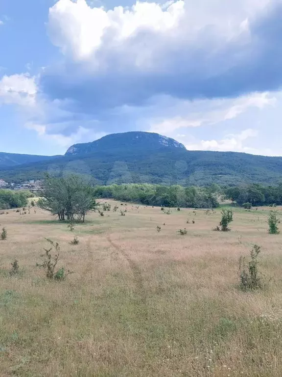 Участок 2,5 га (СНТ, ДНП) - Фото 0