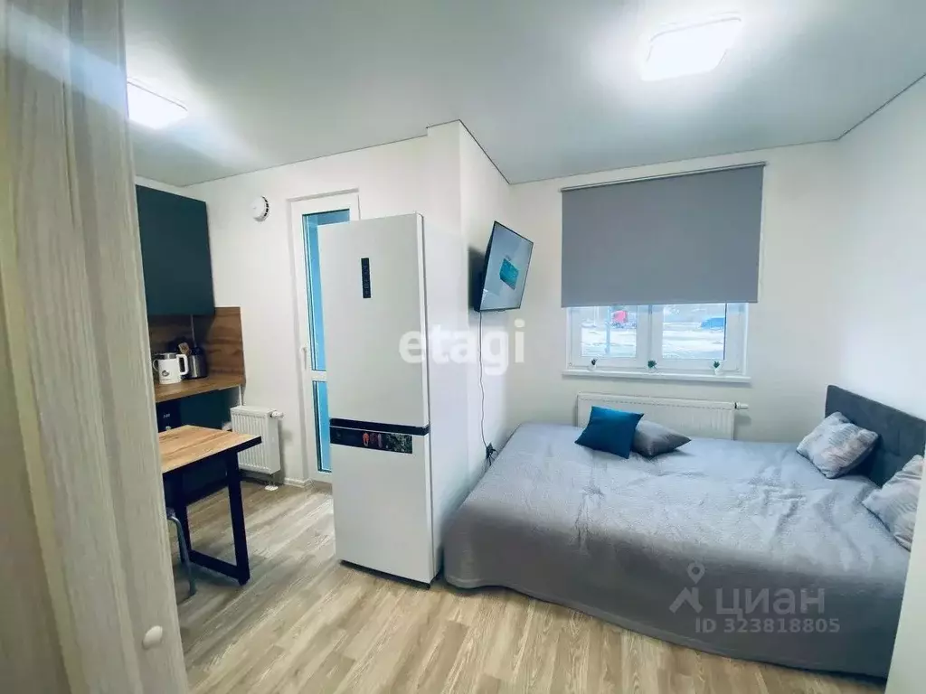 Студия Санкт-Петербург дор. Муринская, 8к2 (19.0 м) - Фото 2