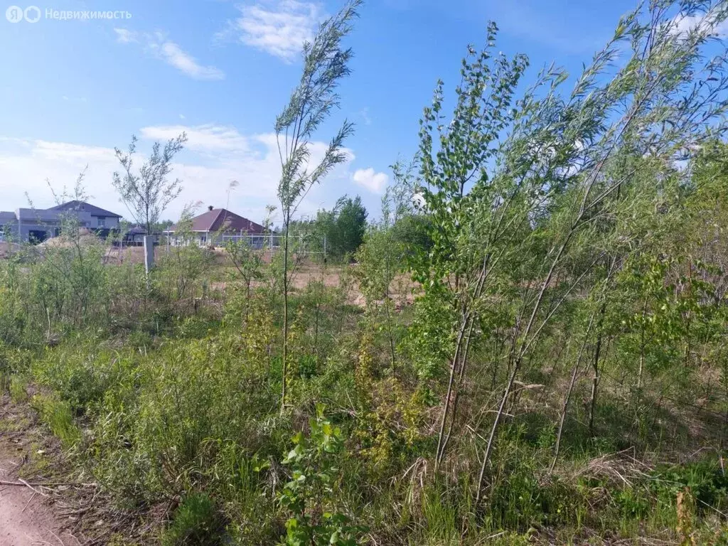 Участок в Мичуринское сельское поселение, село Виноградовка, квартал ... - Фото 1