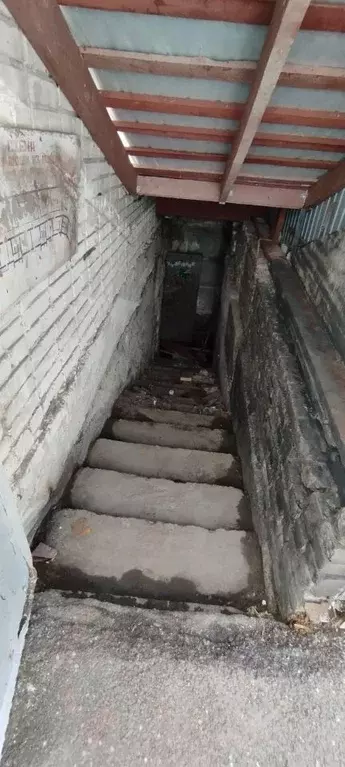 Помещение свободного назначения в Алтайский край, Барнаул ул. ... - Фото 1