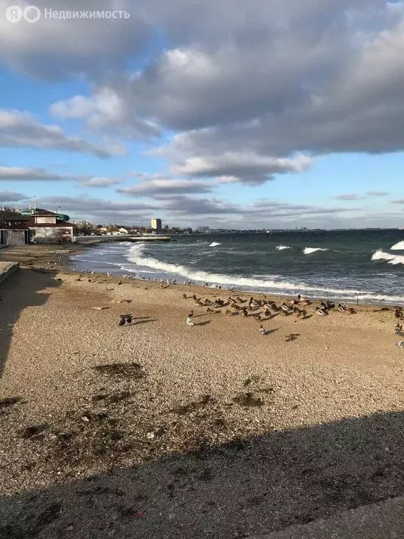 Участок в Республика Крым, Феодосия (8.8 м) - Фото 2