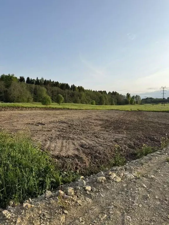 Участок в Ленинградская область, Ломоносовский район, Лопухинское ... - Фото 2