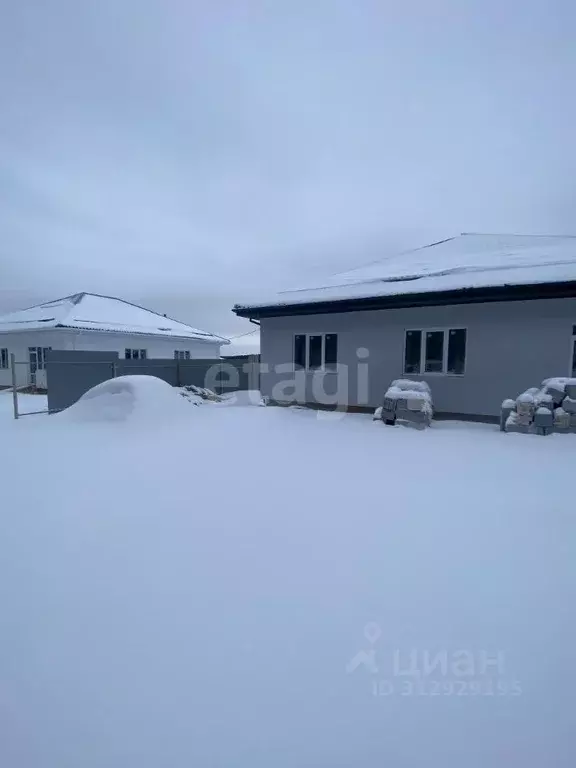 Дом в Свердловская область, Сысертский городской округ, с. Черданцево ... - Фото 1