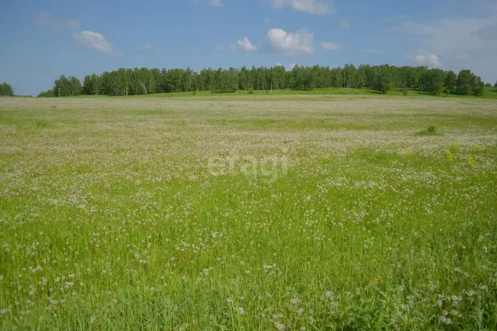 Участок в Кемеровская область, Прокопьевск Сафоново мкр,  (9.6 сот.) - Фото 1