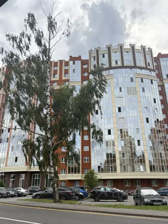 Студия Ленинградская область, Мурино Всеволожский район, Оборонная ... - Фото 1