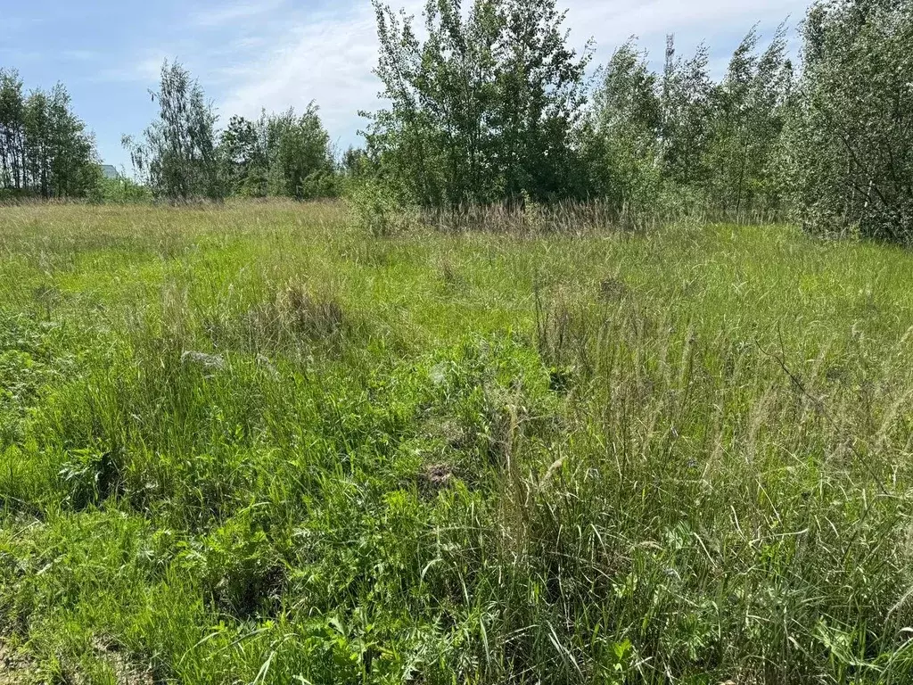 Участок в Московская область, Богородский городской округ, д. Меленки  ... - Фото 0