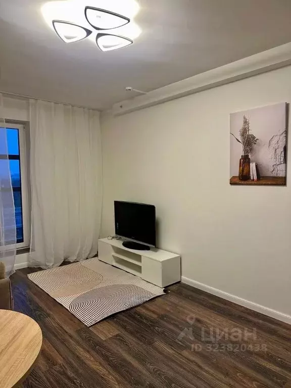 Студия Санкт-Петербург Пулковское ш., 14Г (24.0 м) - Фото 1