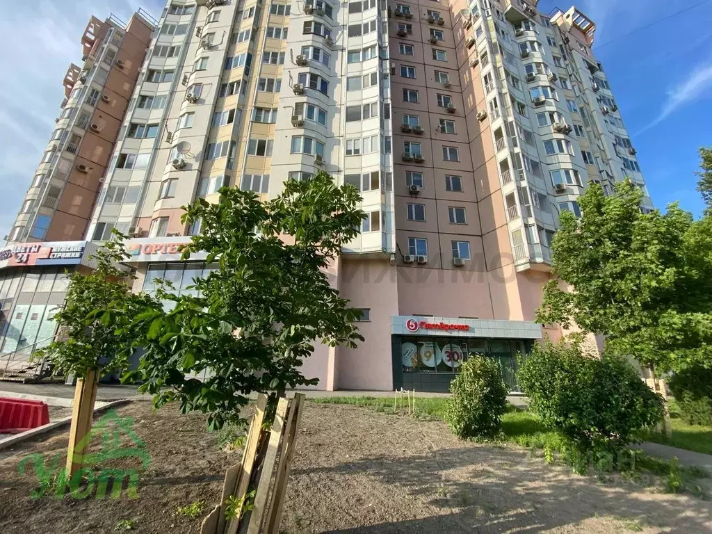 Помещение свободного назначения в Москва ул. Новинки, 1 (240 м) - Фото 1