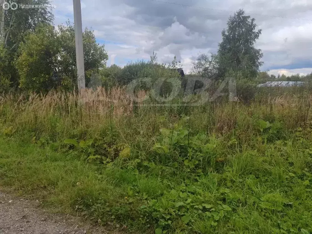 Участок в Тобольск, улица Чернышевского, 118 (7.7 м) - Фото 2