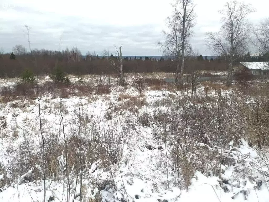 Участок в Вологодская область, Великоустюгский муниципальный округ, ... - Фото 2