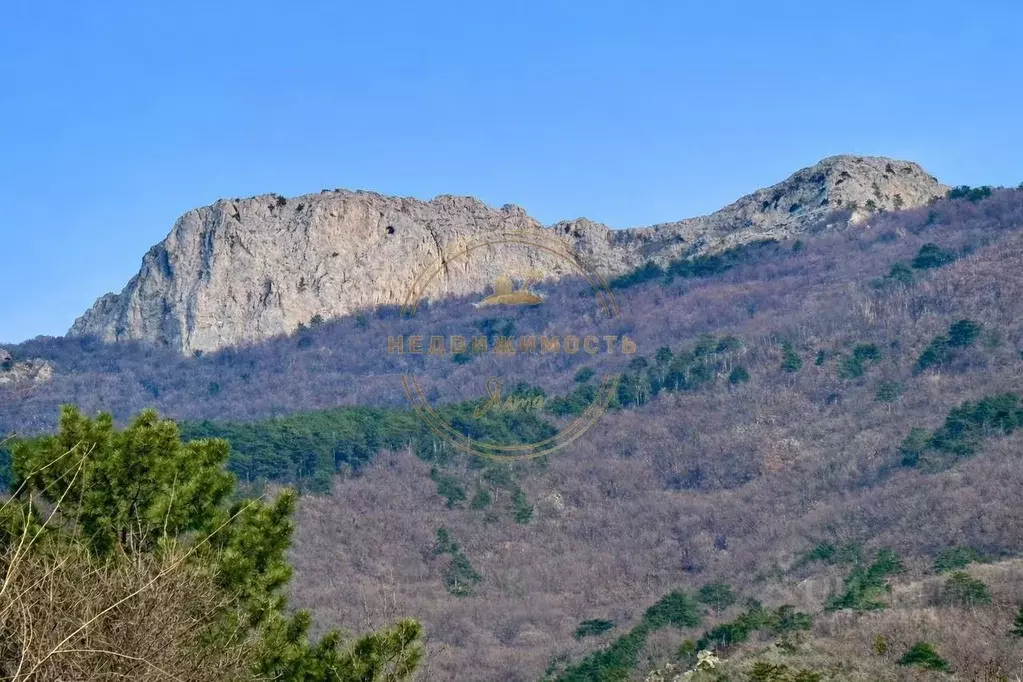 Участок в Крым, Ялта муниципальный округ, Голубой Залив пгт ул. ... - Фото 2