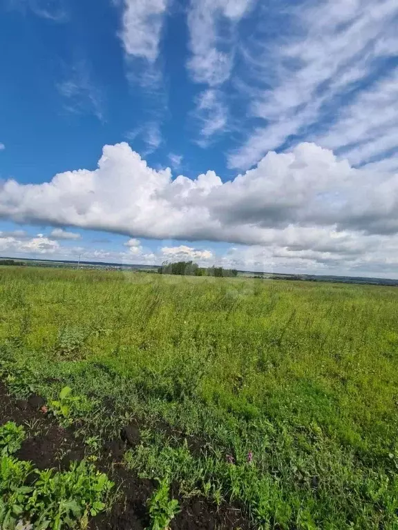 Участок в Мордовия, Лямбирский район, Берсеневское с/пос, Альтерра кп  ... - Фото 2