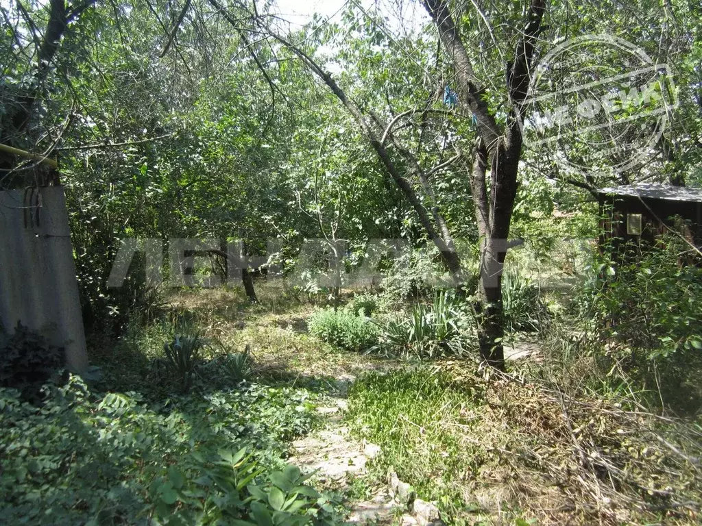 Участок в Ростовская область, Неклиновский район, с. Синявское, ... - Фото 1