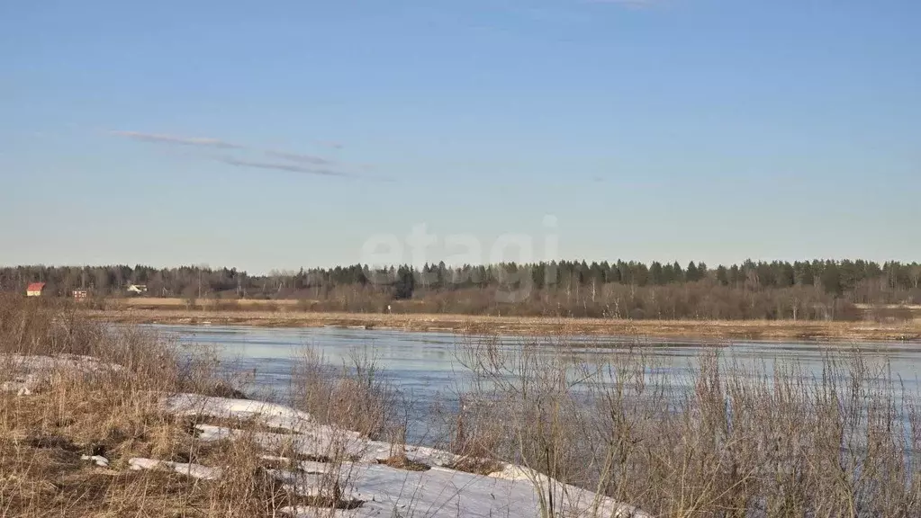 Участок в Ленинградская область, Волховский район, Староладожское ... - Фото 1