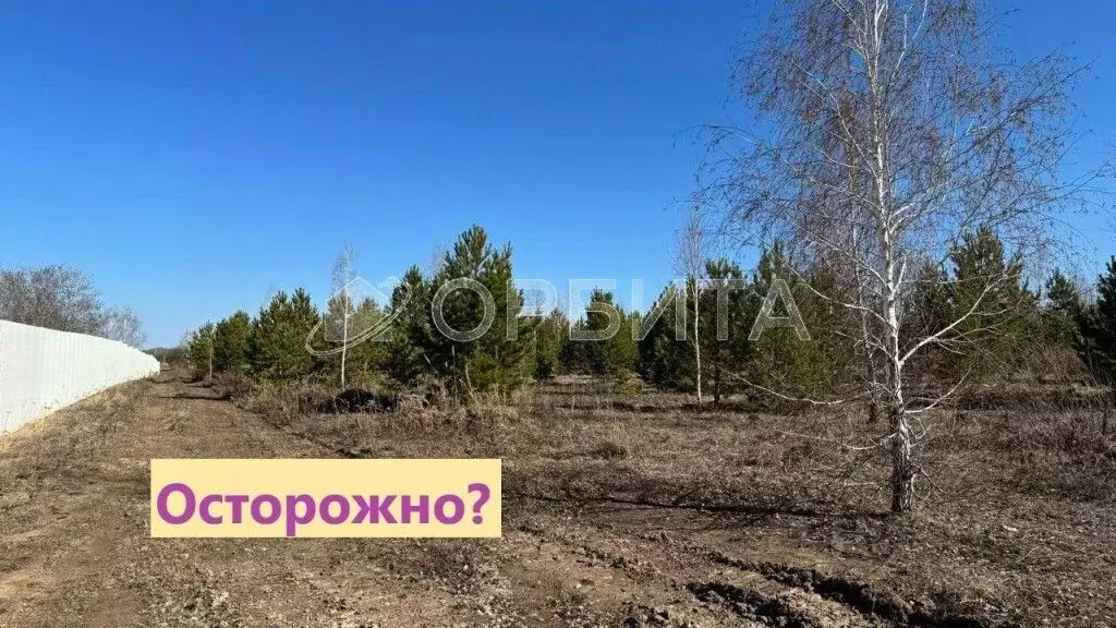 Участок в Тюменская область, Тюменский район, Онегин кп ул. Евгения ... - Фото 0