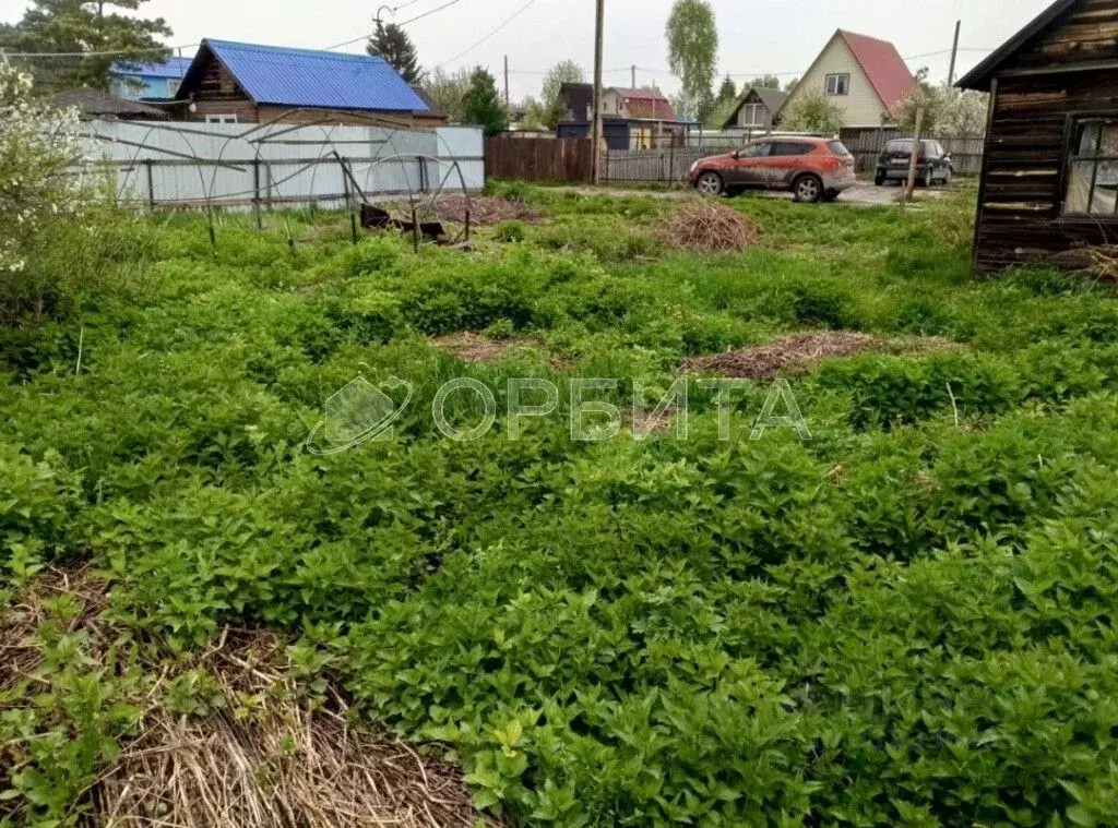 Участок в Тюменская область, Тюмень Ягодное СНТ, ул. Ягодная (4.12 ... - Фото 0