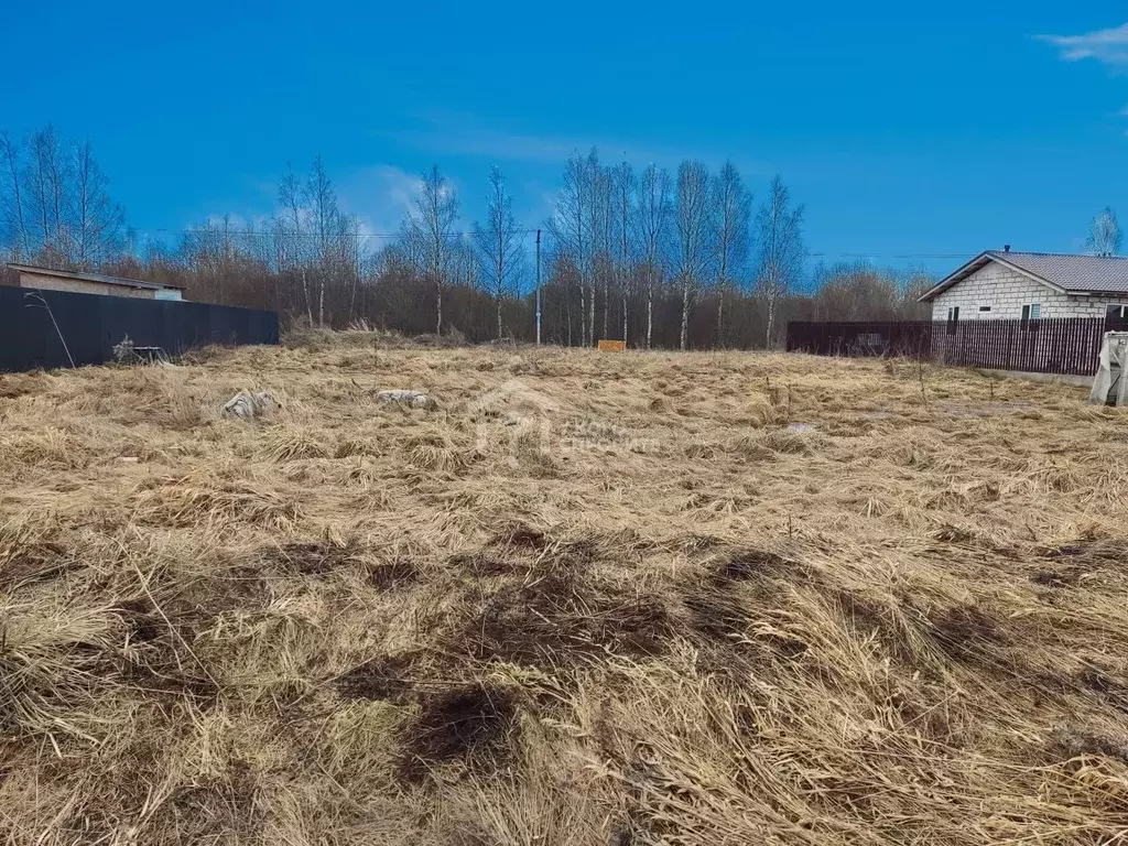 Участок в Ленинградская область, Ломоносовский район, Низинское с/пос, ... - Фото 1