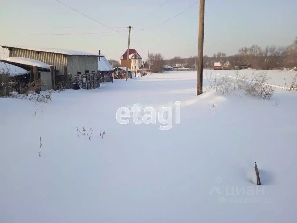 Участок в Новосибирская область, Новосибирский район, с. Криводановка  ... - Фото 1