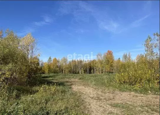 Помещение свободного назначения в Пермский край, Пермь Вышка II мкр,  ... - Фото 1