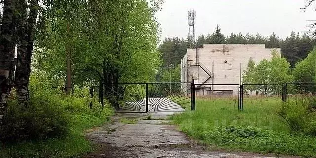 Склад в Санкт-Петербург, Санкт-Петербург, Зеленогорск Александровская ... - Фото 1