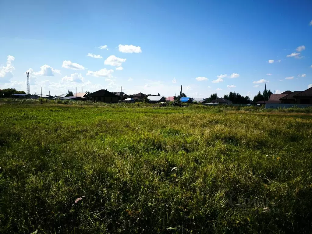 Участок в Омская область, Омский район, с. Усть-Заостровка  (14.0 ... - Фото 2