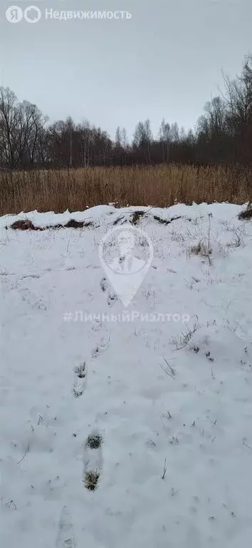 Дом в Рязанская область, рабочий посёлок Чучково, Колхозная улица, 20 ... - Фото 0