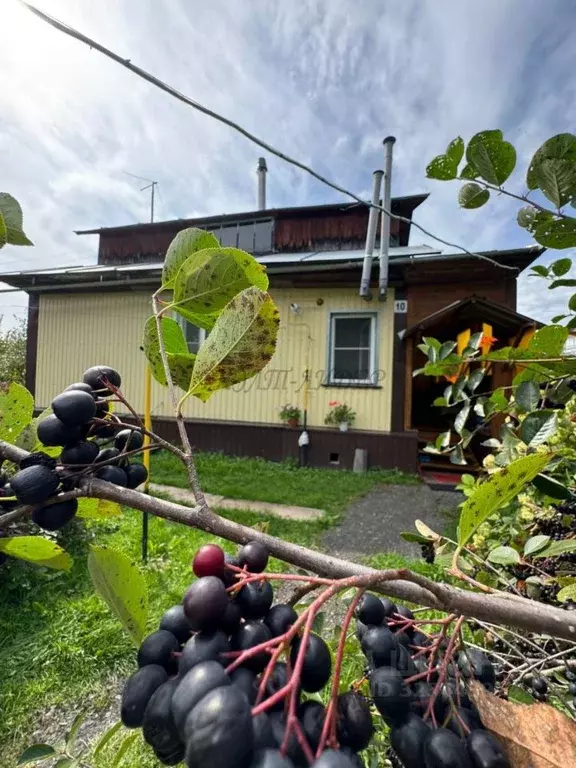 Дом в Алтай, Майминский район, с. Манжерок Луговая ул. (40 м) - Фото 1