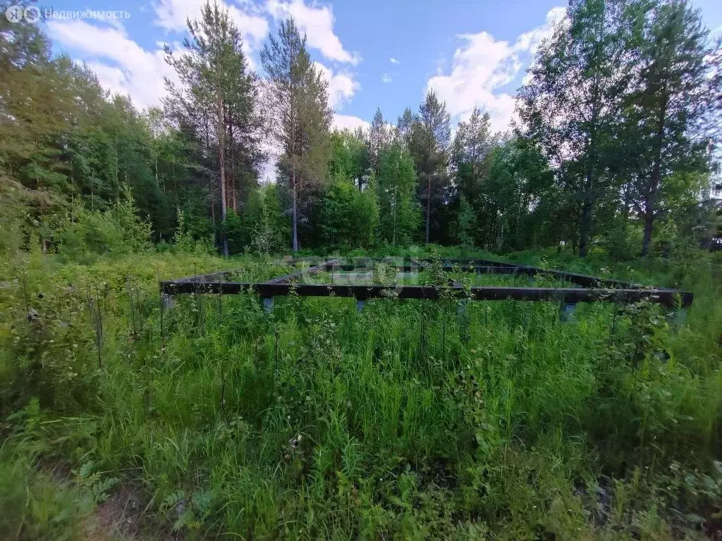 Участок в Архангельск, садовое товарищество Ваганиха (9.6 м) - Фото 0